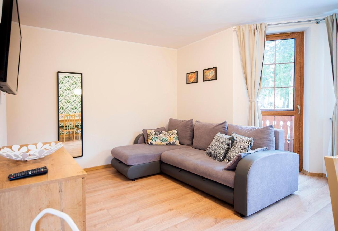 Apartamenty Sun & Ski Willa Nad Strumieniem Nadrzeczna 3D I 3E - Centrum 300M คาร์ปัตซ์ ภายนอก รูปภาพ